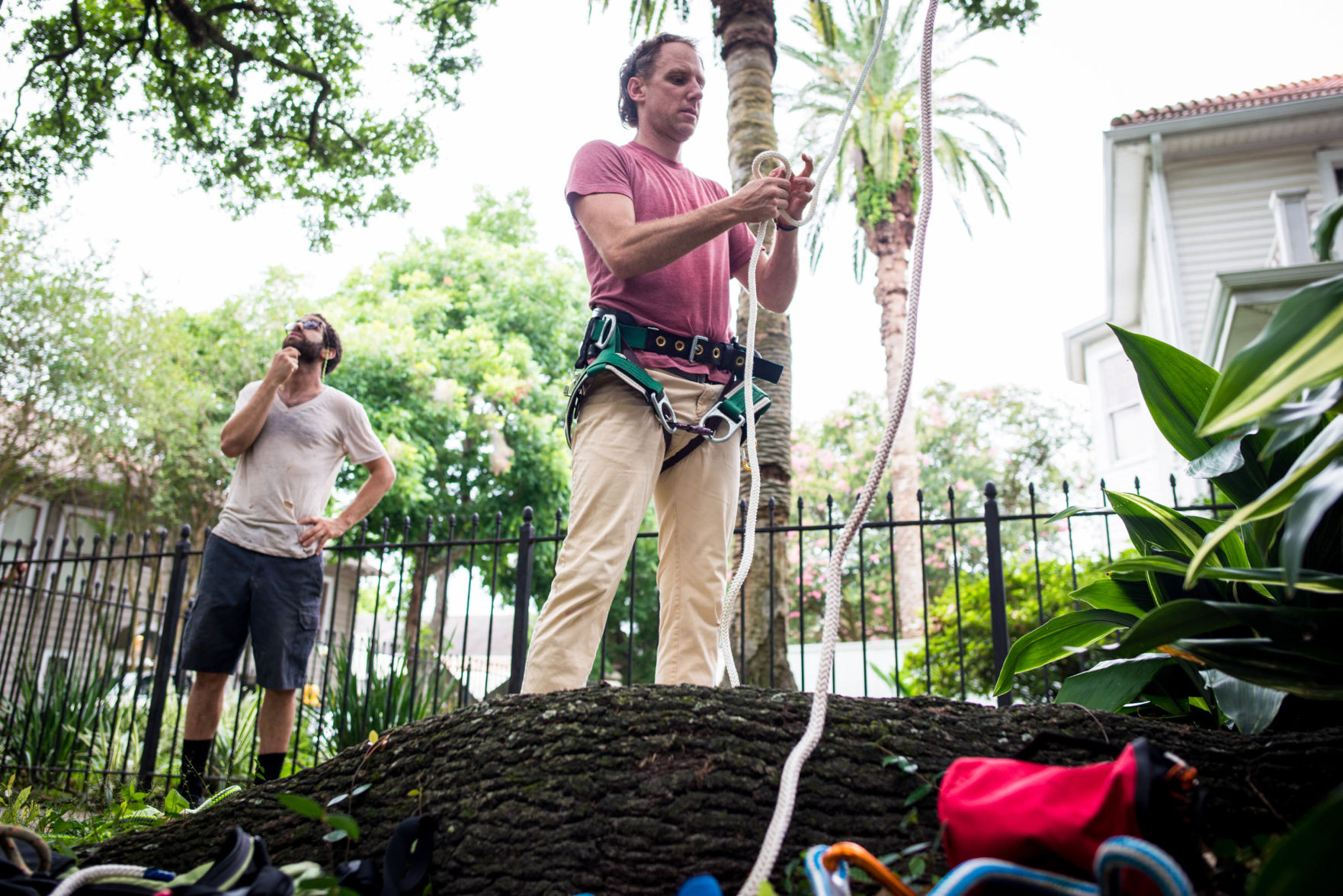 NO.pelicanstuckintree.061319.47.jpg